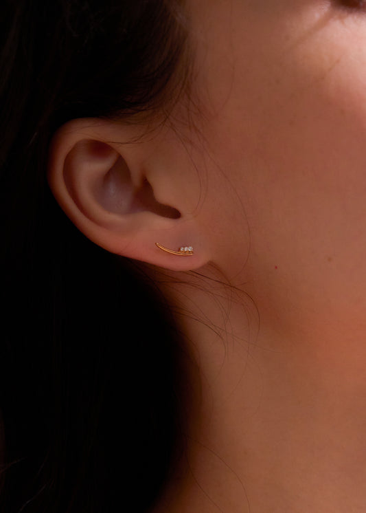 LB Diamond Earring