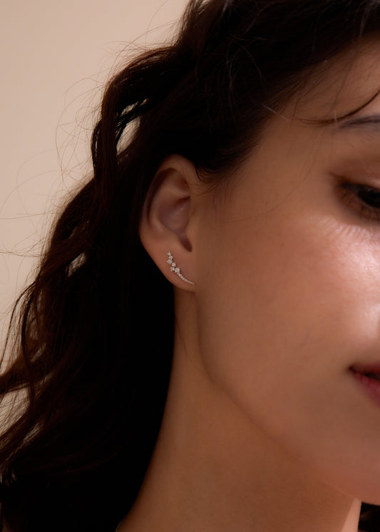 LB Diamond Earring